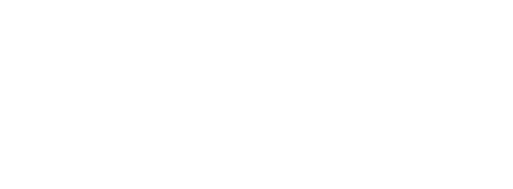 Veritas Logo Words Wide White- tight